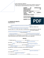 Formato 5 Robo Simple