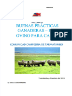 PDF Buenas Practicas Ovinos Compress