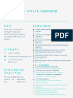 Blue Minimal Infographic Resume