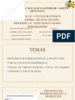 Teoria Del Consumidor - Exposicion Equipo 2 (F.P.P, Curva y Mapa de Indeferencia, Curvas Precio-Consumo, Ingreso-Consumo y Engel)