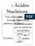 Los Ácidos Nucleicos