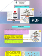 Soluciones Nutritivas y Formulacón Semana 14