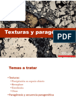 Texturas y Paragénesis