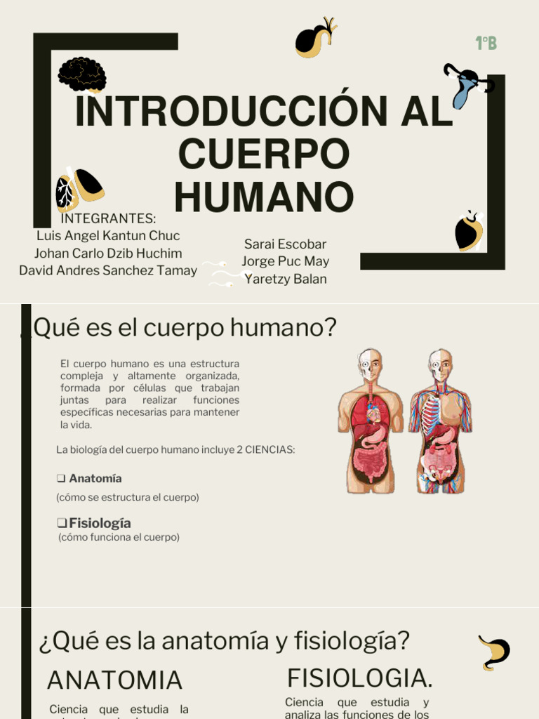 Introduccion Del Cuerpo Humano | Descargar gratis PDF | Organismos ...