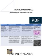 Filarias Cuadro Comparativo