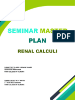 Seminar Master Plan Renal Calculi