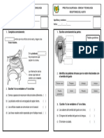 Practica 5 Cyt