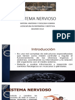 Sistema Nervioso CENTRAL Y PERIFERICO 2