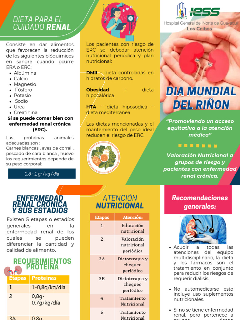 Dia Mundial Del Riñon | PDF | Dieta | Enfermedad renal crónica