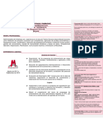 MODELO DE CV CON RECOMENDACIONES KP (1)