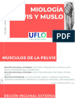 Miología Pelvis y Muslo