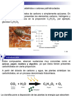 Clase-5a-Carbohidratos 