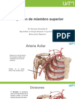 Irrigacion Miembro Superior