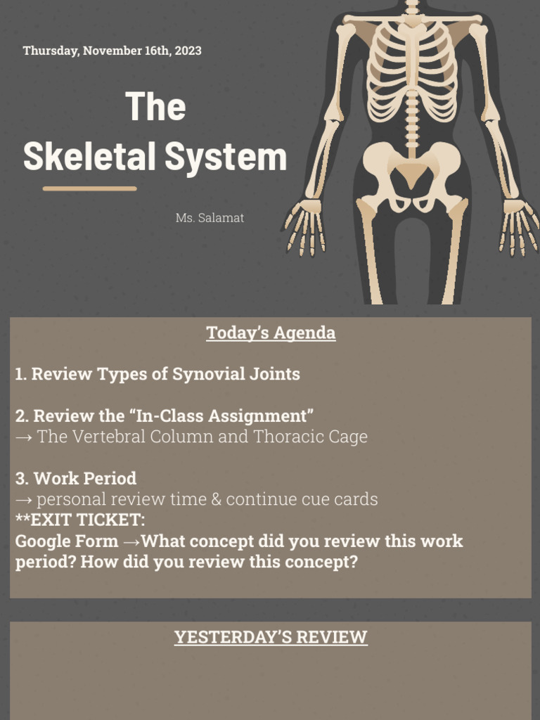 Overview of the Skeletal System | PDF | Vertebral Column | Vertebra