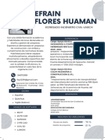 CV de Efrain Flores Huaman