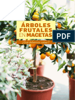 Guía Arboles Frutales en Macetas