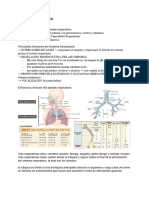 Fisiología Respiratoria