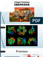 4 - Proteinas y Acidos Nucleicos