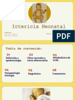 Ictericia Neonatal Seminario