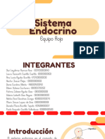 Sistema Endocrino - Equipo Rojo