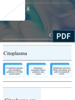 Cap 8 - Citoplasma
