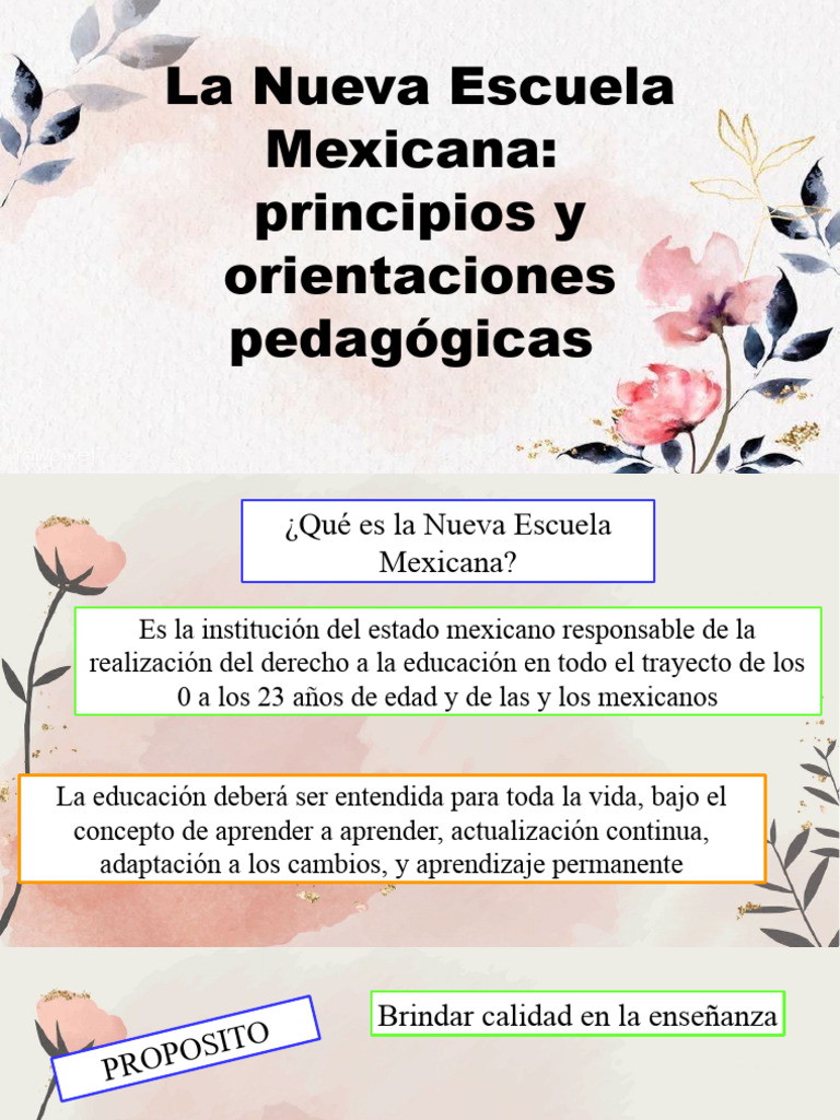 La Nueva Escuela Mexicana Pdf