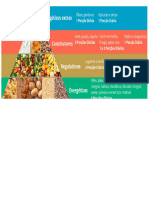 Cartaz ciências piramide alimentar