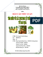 123doc Tieu Luan Tim Hieu Ve Cac Enzyme Co The Thu Nhan Tu Rau Qua