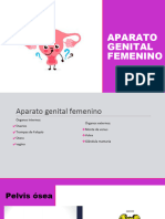 Genital Femenino