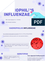 H Influenzae