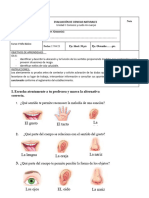 Evaluacion Sumativa Cs Naturales Los Sentidos