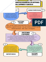 Infografia Sistema de Rebaños Avicola, Caprino y Ovino