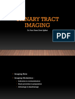 Lecture 28. Urinary Tract Imaging 2023
