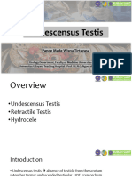 Lecture 20. Undescensus Testis, Retractile Testis, Hydrocele NEW