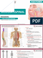 Clase Medula Espinal Parte 1