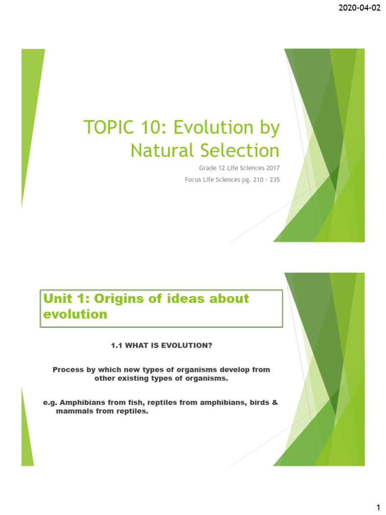 Natural Selection and Evolution Evidence | PDF | Natural Selection ...