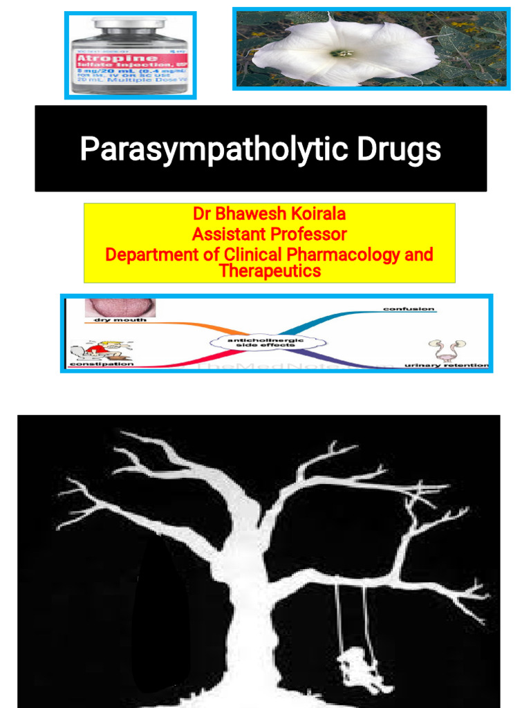 Parasympatholytic visual data 3
