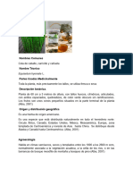 plantas medicinales