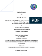 Has Project Reportf PDF