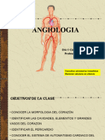 Angiologia: Dra © Catherine Jara Reyes Profesora de Anatomía