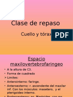 Clase de Repaso Cuello y Torax