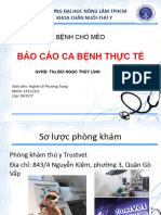Hu NH Lê Phương Trang - BCM