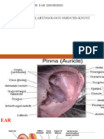 Some Ear Disorders