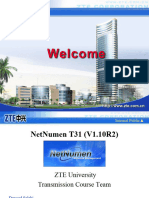 4 - NetNumen T31 (V1.10R2) ASON Operation