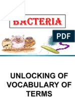 Bacteria Ppt