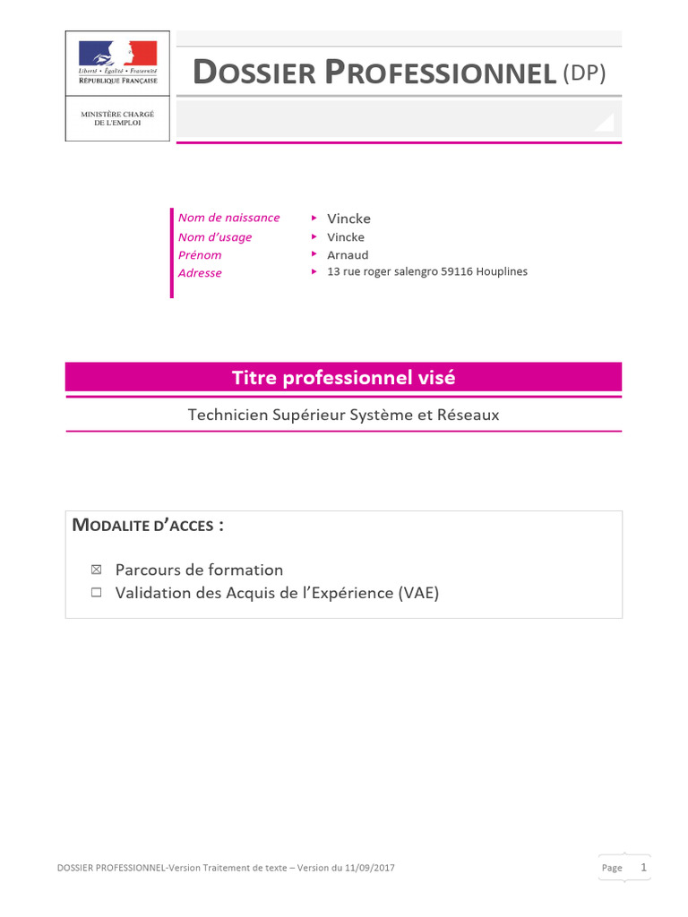 Dossier Professionnel TSSR Exemple | PDF | VMware | Serveur (Informatique)