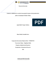 Proyecto de Inversión - Justificaciones y Objetivos