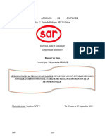 NAD Rapport de Stage SAR 2023