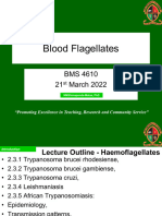 HaemoFlagellates Final