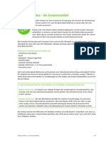 Diabetes Mellitus 06RZ